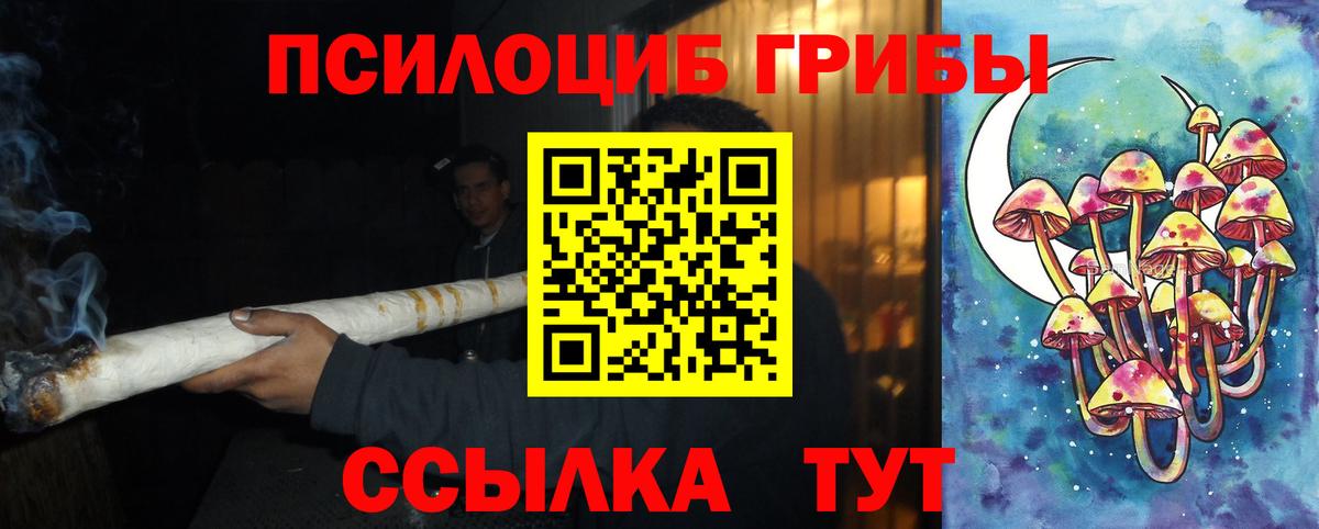 Пенза  Галлюциногенные грибы Magic Shrooms  Вход с VPN 