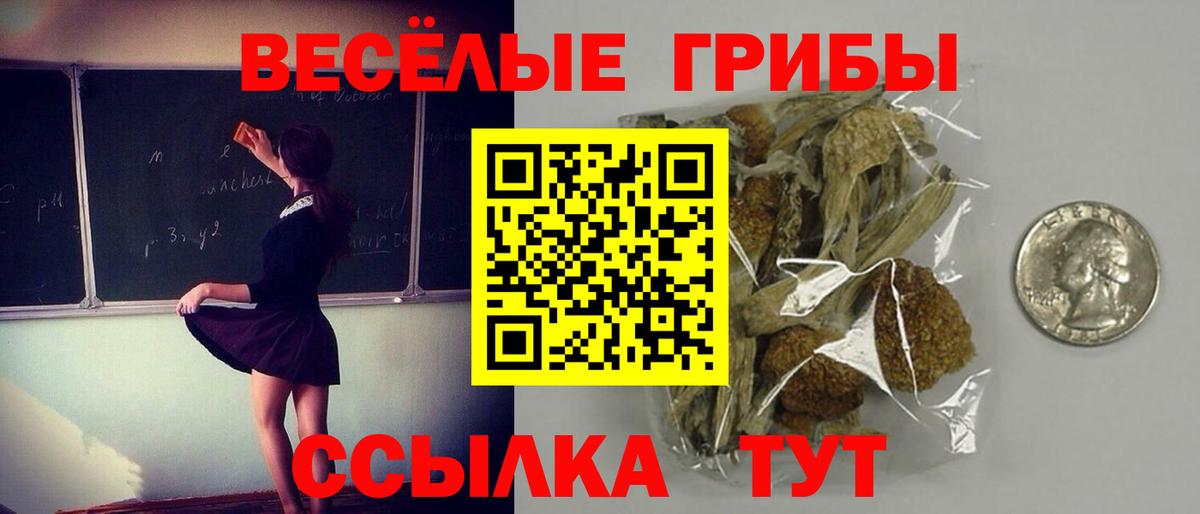 Галлюциногенные грибы ЛСД Пенза